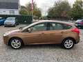 Ford Focus 1.0 EcoBoost Edition Plus NEW-DISTRIBUTIERIEM.CRUI Bruin - thumbnail 9