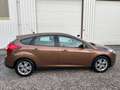 Ford Focus 1.0 EcoBoost Edition Plus NEW-DISTRIBUTIERIEM.CRUI Bruin - thumbnail 3