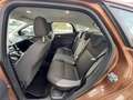 Ford Focus 1.0 EcoBoost Edition Plus NEW-DISTRIBUTIERIEM.CRUI Bruin - thumbnail 17