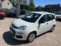 Fiat Panda Pop*TÜV NEU*1 HAND*KLIMA*SEHR SAUBER* Weiß - thumbnail 2