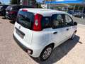 Fiat Panda Pop*TÜV NEU*1 HAND*KLIMA*SEHR SAUBER* Weiß - thumbnail 3