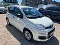 Fiat Panda Pop*TÜV NEU*1 HAND*KLIMA*SEHR SAUBER* Weiß - thumbnail 1