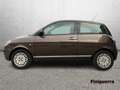 Lancia Ypsilon Ypsilon 1.2 69 CV Platinum Brun - thumbnail 6