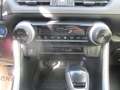 Toyota RAV4 RAV4 2.5 Active ACC+LED+Navi+2xKlima+Kam.+KlimaA Weiß - thumbnail 20