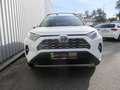 Toyota RAV4 RAV4 2.5 Active ACC+LED+Navi+2xKlima+Kam.+KlimaA Weiß - thumbnail 3