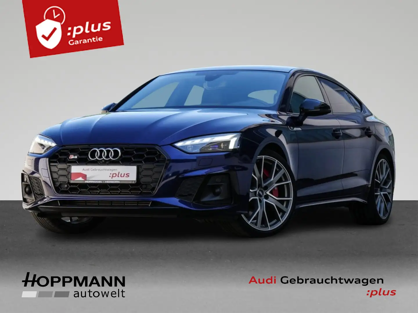 Audi S5 nza 3.0 TDI Laser B&O HUD Feinnappa Blue - 1