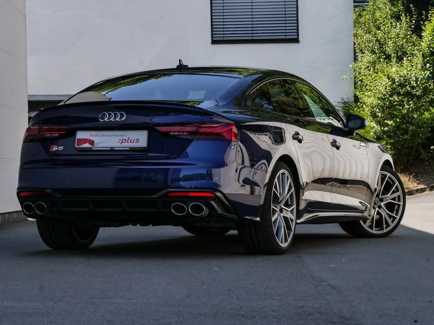 Audi S5 nza 3.0 TDI Laser B&O HUD Feinnappa Blue - 2