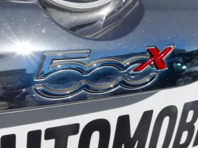 Fiat 500x view 12