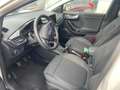 Ford Puma 1.0 EcoBoost Hybrid 125 CV S&S Titanium Beige - thumbnail 7