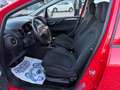 Fiat Punto 1.4 8V 5 porte Natural OK NEOPATENTATI Rouge - thumbnail 15