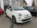 Fiat 500C MY22 1.0 GSE Hybrid DOLCEVITA 51kW - thumbnail 2