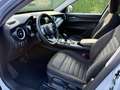 Alfa Romeo Stelvio Stelvio 12/2020 2.2 t Q4 190cv AT8 Grigio - thumbnail 12