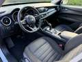 Alfa Romeo Stelvio Stelvio 12/2020 2.2 t Q4 190cv AT8 Grigio - thumbnail 13