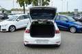 Volkswagen Golf 1.5 TSI BlueMotion Blanc - thumbnail 16