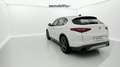 Alfa Romeo Stelvio 2.2 Villa D´Este Q4 210 Aut. Blanco - thumbnail 22
