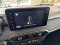 Dacia Sandero Stepway 1.0 TCe ECO-G Expression - VARI COLORI! Wit - thumbnail 13