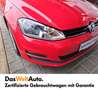 Volkswagen Golf Variant Trendline TDI Rosso - thumbnail 9