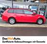 Volkswagen Golf Variant Trendline TDI Rojo - thumbnail 6