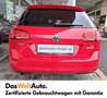Volkswagen Golf Variant Trendline TDI Rosso - thumbnail 8