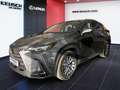 Lexus NX 350h NX 2,5l, 244 PS, CVT Executive Line Grau - thumbnail 2