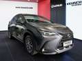 Lexus NX 350h NX 2,5l, 244 PS, CVT Executive Line Grau - thumbnail 16