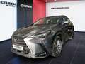 Lexus NX 350h NX 2,5l, 244 PS, CVT Executive Line Grau - thumbnail 1