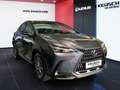 Lexus NX 350h NX 2,5l, 244 PS, CVT Executive Line Grau - thumbnail 17