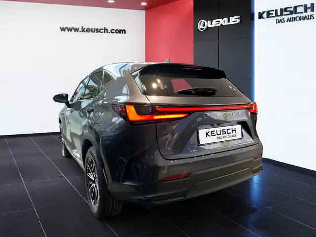 Lexus NX 350h NX 2,5l, 244 PS, CVT Executive Line Ansicht 11