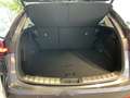 Lexus NX 350h NX 2,5l, 244 PS, CVT Executive Line Grau - thumbnail 12