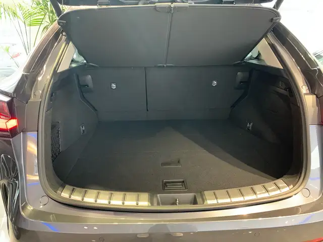 Lexus NX 350h NX 2,5l, 244 PS, CVT Executive Line Ansicht 12