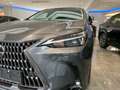 Lexus NX 350h NX 2,5l, 244 PS, CVT Executive Line Grau - thumbnail 3