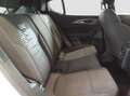 Alfa Romeo Tonale Tonale 1.6 Super 130cv TCT6 Bianco - thumbnail 15
