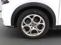 Alfa Romeo Tonale Tonale 1.6 Super 130cv TCT6 Bianco - thumbnail 7