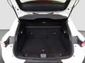Alfa Romeo Tonale Tonale 1.6 Super 130cv TCT6 Bianco - thumbnail 8