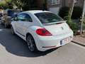 Volkswagen Beetle Beetle 2.0 CR TDi Sport BMT Blanc - thumbnail 2