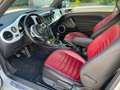 Volkswagen Beetle Beetle 2.0 CR TDi Sport BMT Blanc - thumbnail 4