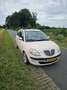 Lancia Ypsilon 1.4-16V Platino Beige - thumbnail 6