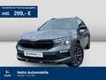 Skoda Kamiq 1.5TSI DSG Selection AHK Cam Voll-LED Navi Grau - thumbnail 1