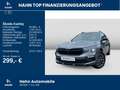 Skoda Kamiq 1.5TSI DSG Selection AHK Cam Voll-LED Navi Grau - thumbnail 2