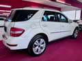 Mercedes-Benz ML 320 CDI 4MATIC Sportpaket Airmatic BiXenon 20 Bianco - thumbnail 6