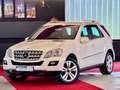 Mercedes-Benz ML 320 CDI 4MATIC Sportpaket Airmatic BiXenon 20 Bianco - thumbnail 1