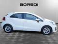 Kia Rio 3ª serie 1.1 CRDi 5p. Active Blanc - thumbnail 6