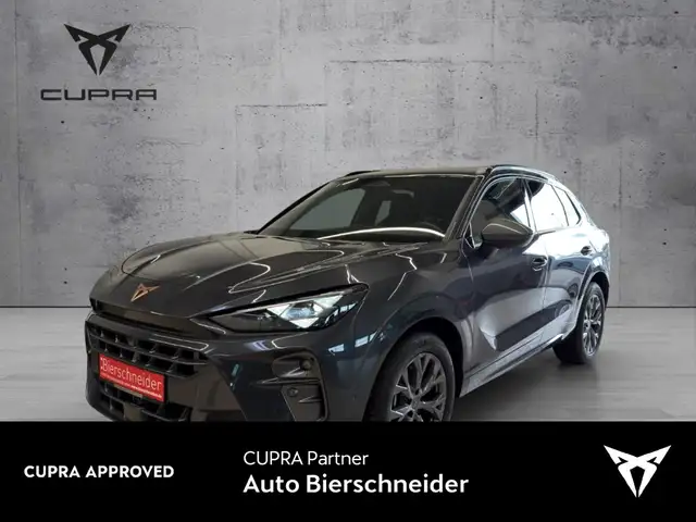 2026 Cupra Terramar in Grey for sale
