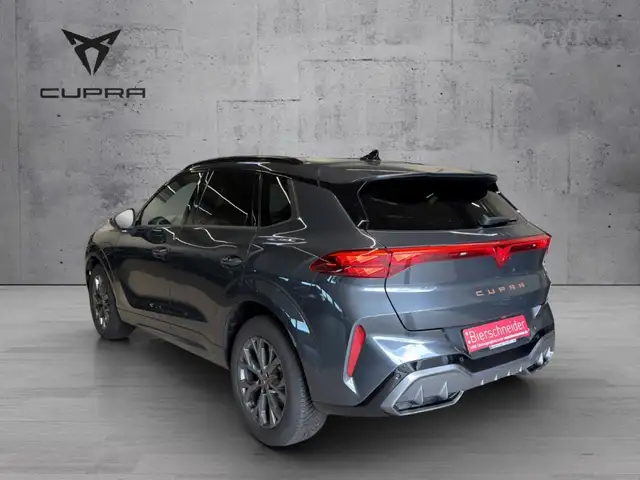 Cupra Terramar view 8