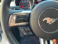 Ford Mustang 5.0+Ti-VCT+V8+307kW++GT+A.%28Fast.%29 Blanco - thumbnail 15