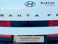Hyundai SANTA FE HEV 1.6T 215CV 4X4 AT Calligraphy Wit - thumbnail 23