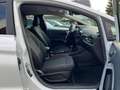 Ford Fiesta Titanium für EXPORT und GEWERBE Weiß - thumbnail 14