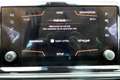 SEAT Tarraco 2.0 'Xcellence' #4Drive #360° #BEATS Silber - thumbnail 24