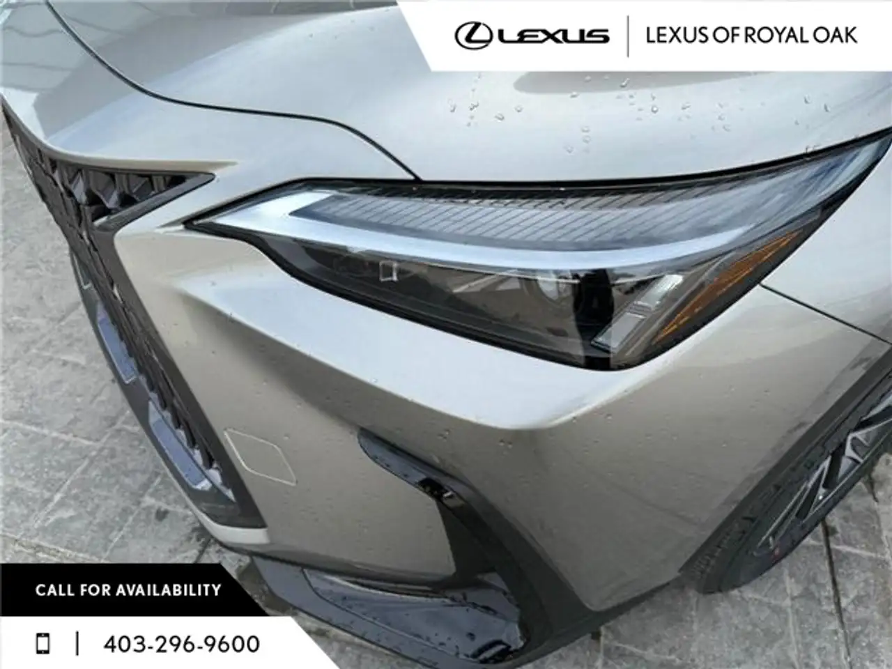 Lexus NX photo Lexus NX
