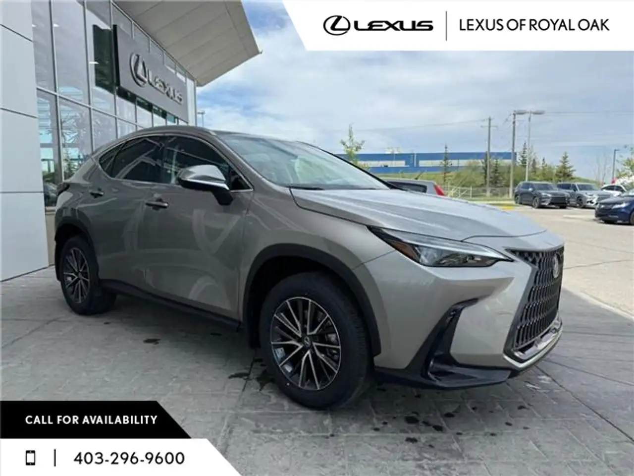 Lexus NX photo Lexus NX